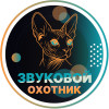 Звуковой Охотник