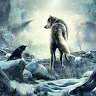 User_13495