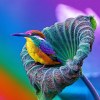 User_15285