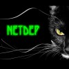 Станислав Каргин (@NETDEP)