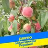 User_1807
