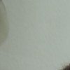 Rasamaha123