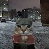 User_8921