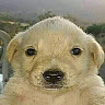 User_9155
