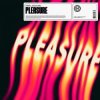 Мұқаба HAWK - Pleasure (feat. Azooland) HAWK - Pleasure (feat. Azooland)