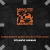 Мұқаба WHOWHENWHY, Guest Who & Haylee Wood - Sounds Insane (Extended Mix) WHOWHENWHY, Guest Who & Haylee Wood - Sounds Insane (Extended Mix)