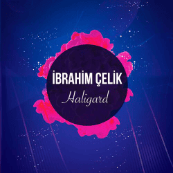 Мұқаба Dj Ibrahim Celik - Haligard