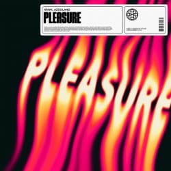 Мұқаба HAWK - Pleasure (feat. Azooland)