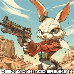 Мұқаба Acid Breaks 14 [2024]