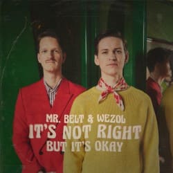 Мұқаба Mr. Belt & Wezol - It's Not Right (But It's Ok)