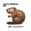Мұқаба Slava Skripka - Бобр (Slim x Corto Remix) Slava Skripka - Бобр (Slim x Corto Remix)