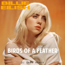 Мұқаба Billie Eilish - Birds Of A Feather