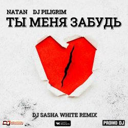 Мұқаба Natan & DJ Piligrim - Ты Меня Забудь