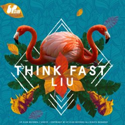Мұқаба Liu - Think Fast