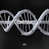 Мұқаба SHADU - CONTIGO SHADU - CONTIGO