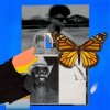 Мұқаба Green Velvet & Jamie Jones - Butterflies Green Velvet & Jamie Jones - Butterflies