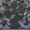 Мұқаба The Caretaker - Long Term Dusk Glimpses The Caretaker - Long Term Dusk Glimpses