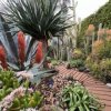 Мұқаба Echo Gardens - Den nich Echo Gardens - Den nich