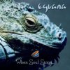 Мұқаба Eguana - In The Forest Eguana - In The Forest