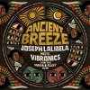 Мұқаба Vibronics - Kings Engine Vibronics - Kings Engine