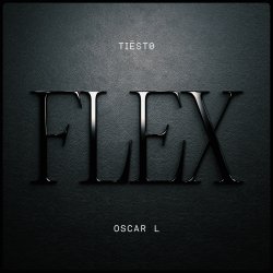 Мұқаба Tiesto & Oscar L - Flex