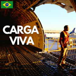 Мұқаба Carga Viva - Maquillaje