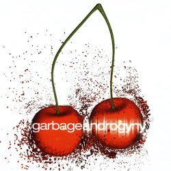 Мұқаба Garbage - Androgyny