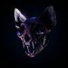 Darci - Wild Horse