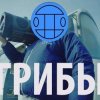 Мұқаба Грибы - Тает Лёд Грибы - Тает Лёд
