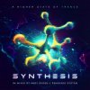 Мұқаба Synthesis - The Battle Synthesis - The Battle