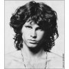 Pochette The Doors - Wild Child The Doors - Wild Child