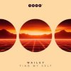Мұқаба Wailey - Find My Self (Original Mix) Wailey - Find My Self (Original Mix)