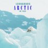 Leonardus - Lovestruck