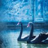 Мұқаба Ataraxia - Llyr Ataraxia - Llyr