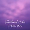 Мұқаба Shattered Echo - I Feel You Shattered Echo - I Feel You