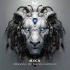 Мұқаба Bixx - Do The Right Thing Bixx - Do The Right Thing