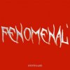 Мұқаба DOROFEEVA - FENOMENAL' DOROFEEVA - FENOMENAL'