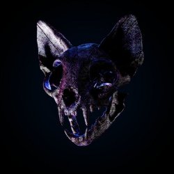 Мұқаба Darci - Wild Horse
