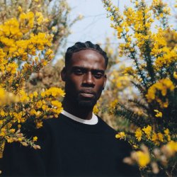Мұқаба Lil Silva - Drumatic