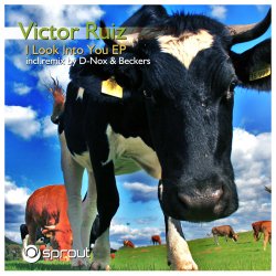 Мұқаба Victor Ruiz - I Look Into You