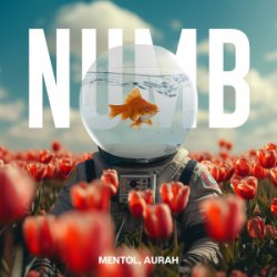Мұқаба Linkin Park - Numb (Mentol Remix) Aurah Cover