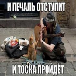 Мұқаба Ноль - Человек И Кошка
