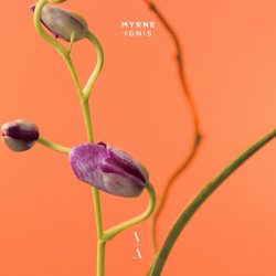 Мұқаба MYRNE - Time (Something To You)