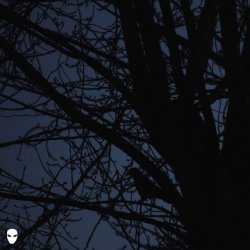 Мұқаба Pharmacist - Dreamin