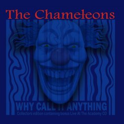 Мұқаба The Chameleons - Indiana