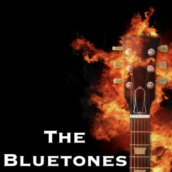 Мұқаба The Bluetones - String Along