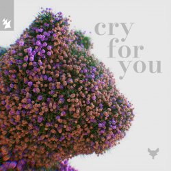 Мұқаба Cat Dealers & Tineway & Dani Doucette - Cry for You