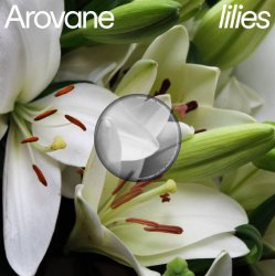 Мұқаба Arovane - Pink Lilies