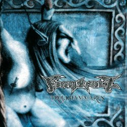 Мұқаба Fintroll - Trollhammaren