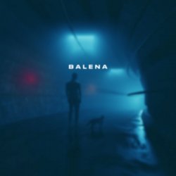 Мұқаба skyfall beats - balena